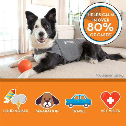 Thundershirt for Dogs Calming Anxiety Vest, Large, Heather Gray | Skin-Friendly Dog Anxiety Shirt, Helps Reduce Stress from Thunder, Fireworks & Travel4