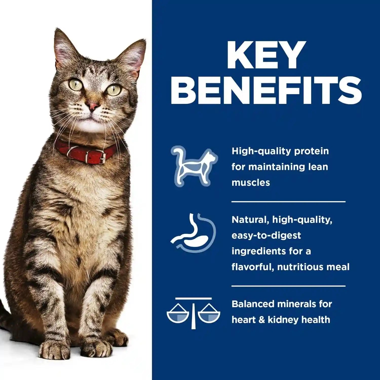 hills-science-diet-adult-1-6-wet-cat-food-variety-pack-1-veterinarian-recommended-savory-entree-turkey-liver-chicken-and-turkey-5-5-oz-cans-12-pack
