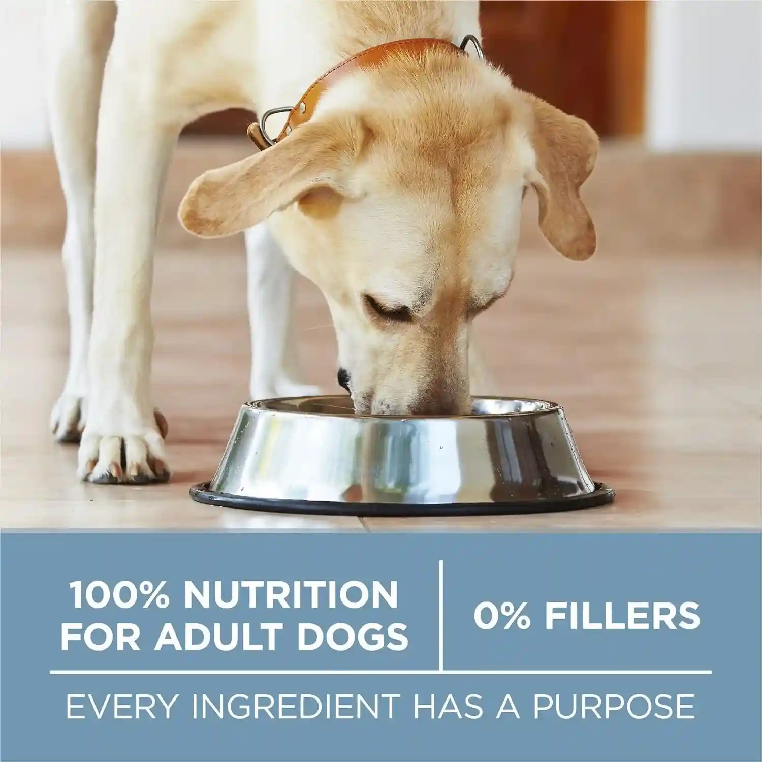 purina-one-plus-joint-health-formula-natural-with-added-vitamins-minerals-and-nutrients-dry-dog-food-31-1-lb-bag
