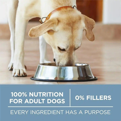 Purina ONE plus Joint Health Formula Natural with Added Vitamins, Minerals and Nutrients Dry Dog Food - 31.1 Lb. Bag8