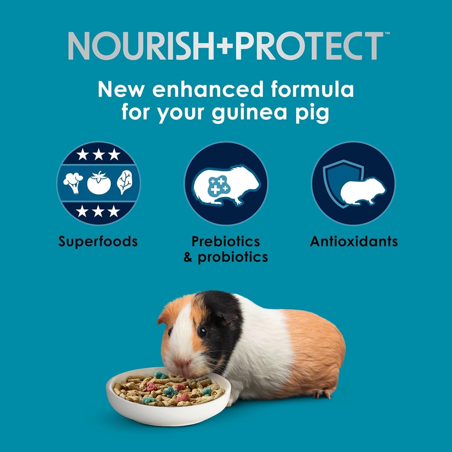 kaytee-forti-diet-pro-health-nourish-protect-guinea-pig-food-comprehensive-nutrition-backed-by-science-digestive-health-immune-support-5-pounds