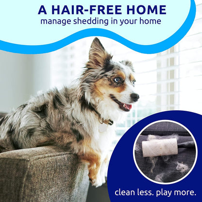 Pat Your Pet Deshedding Dog Brush for Shedding – Cat Brushes for Indoor Cats, Double-Sided Cat Brush Deshedding & Grooming Tool for Long Haired and Short Haired Dogs, Skin-Friendly2
