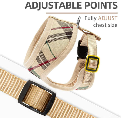 PUPTECK Soft Mesh Dog Harness Small Sized and Leash Set Pet Puppy Cat Comfort Padded Vest No Pull Harnesses, Beige, S4