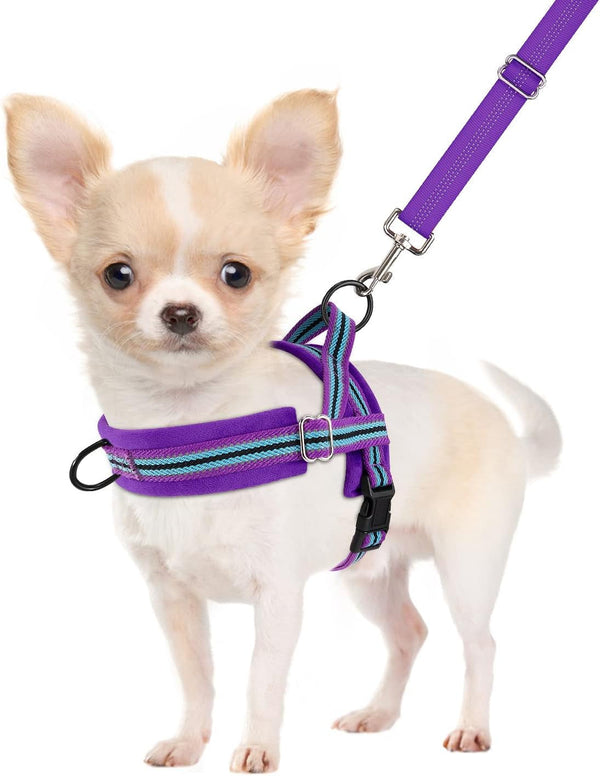 Slowton No Pull Small Dog Harness and Leash Set, Puppy Soft Vest Harness Neck & Chest Adjustable, Reflective Lightweight Harness & Anti-Twist Pet Lead Combo for Small Medium Dogs (Fuchsia, XXS)14