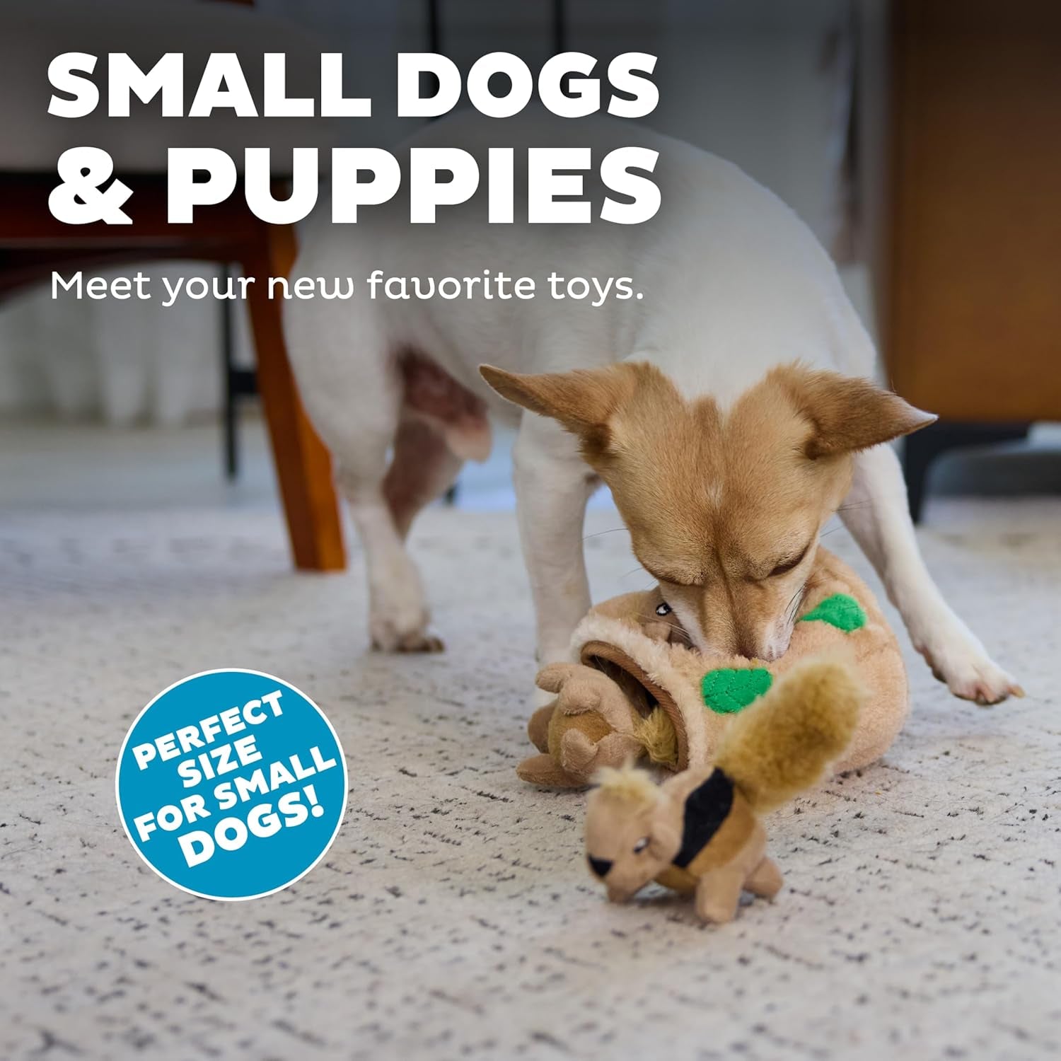 outward-hound-squeakin-squirrels-3-pack-plush-squeaky-dog-toys-for-puppies-small-dogs-hide-a-squirrel-replacements