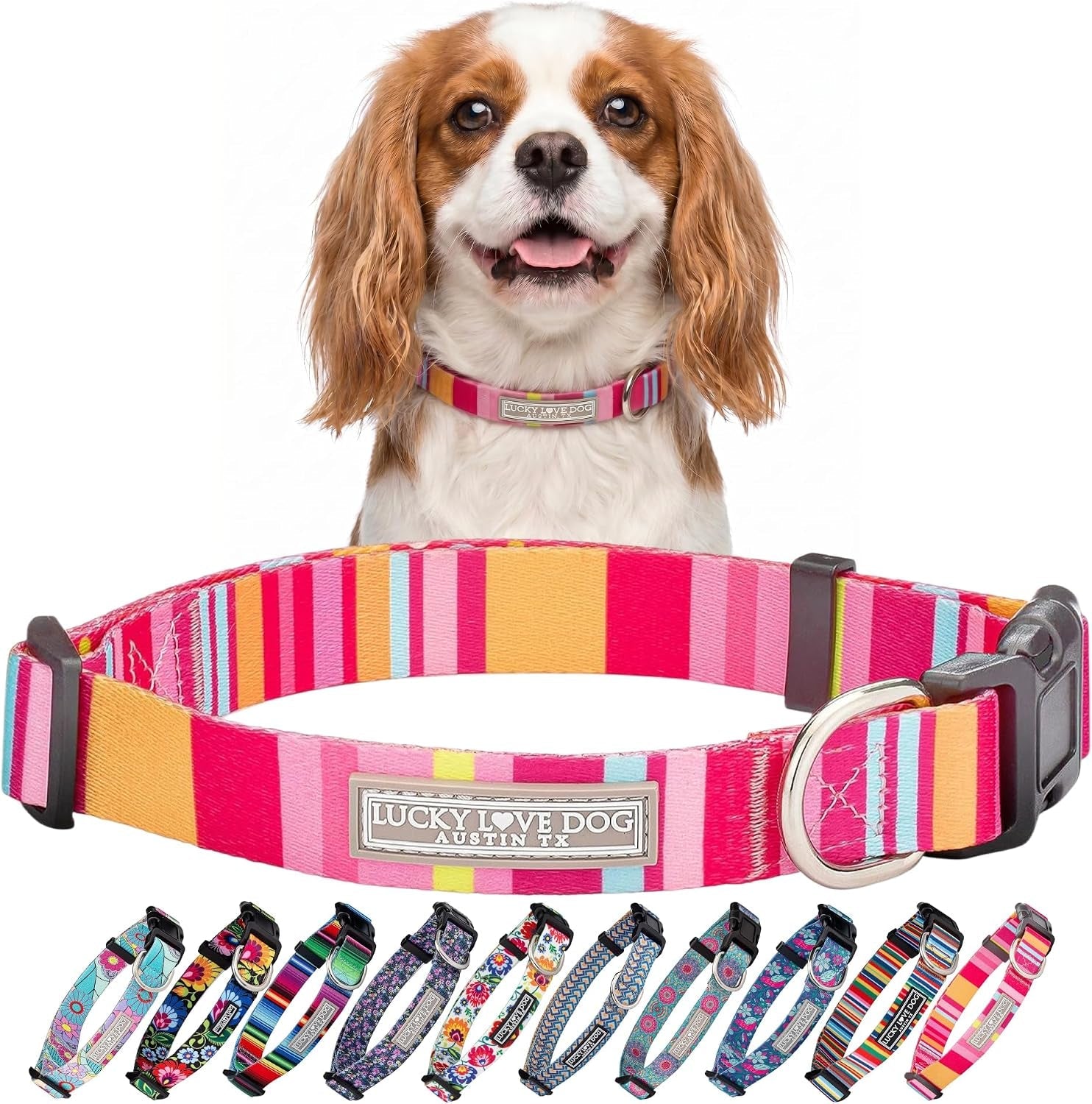 lucky-love-dog-easy-click-buckle-dog-collar-with-leash-set-combo-durable-comfortable-for-male-female-dogs-pet-collar-for-medium-dogs-secure-fit-blackbird-combo-medium