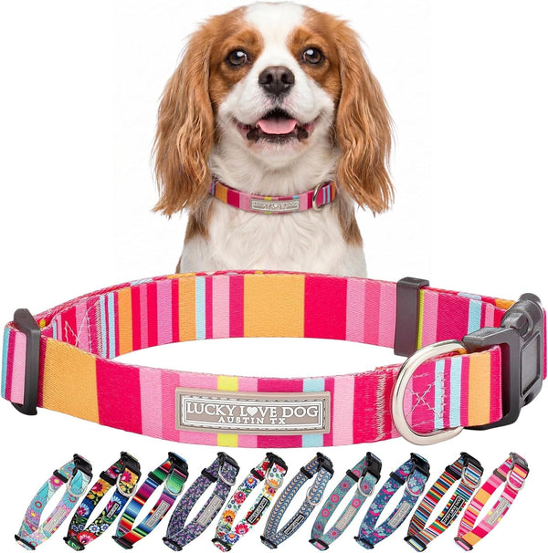Lucky Love Dog - Easy Click Buckle Dog Collar with Leash Set Combo, Durable & Comfortable for Male & Female Dogs, Pet Collar for Medium Dogs, Secure Fit - Blackbird Combo, Medium77
