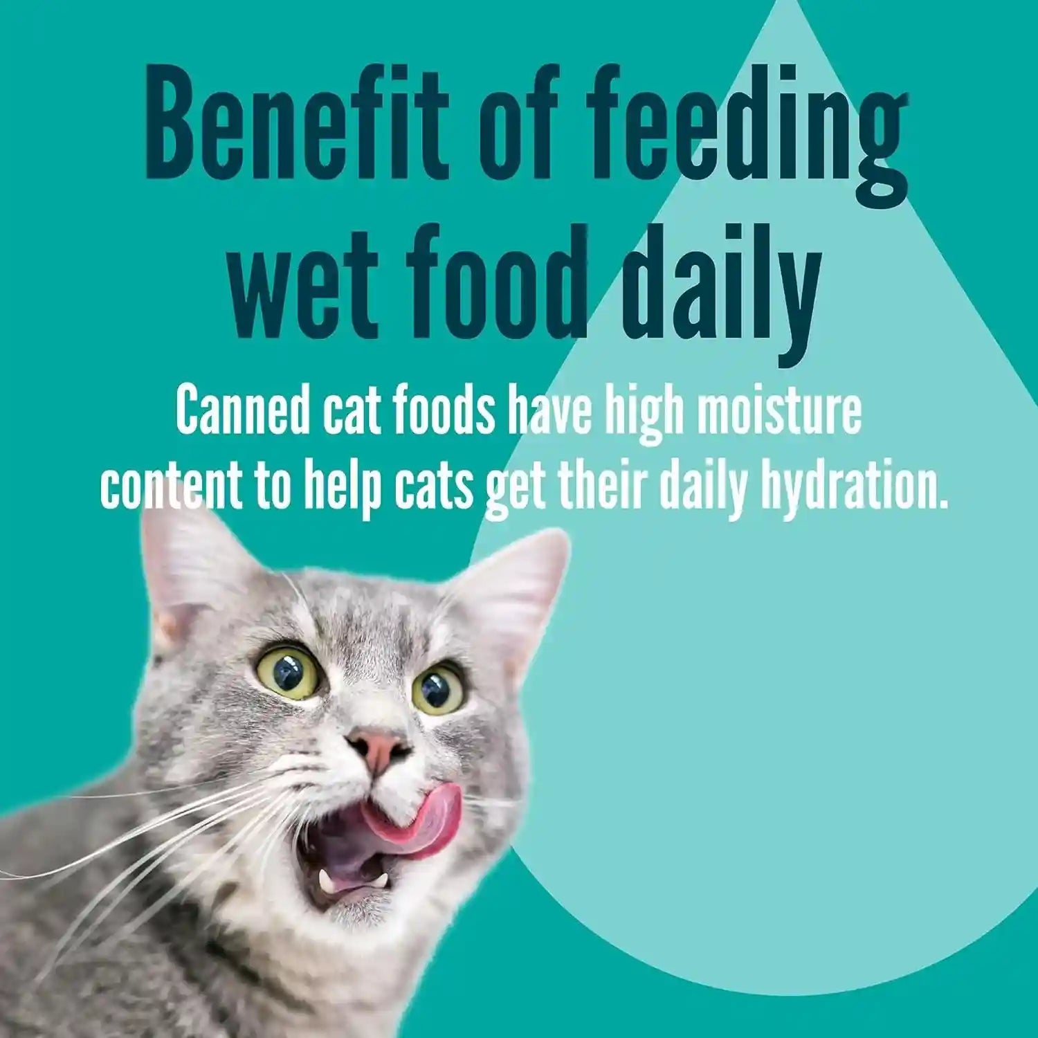 a-strong-heart-split-cup-wet-cat-food-chicken-entree-2-6-oz-split-cups-20-servings-pack-of-10-made-in-the-usa-with-real-chicken