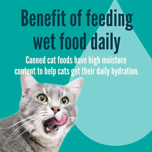 A Strong Heart Canned Wet Cat Food, Special Supper Dinner Pâté — Turkey, Whitefish & Liver — Complete & Balanced for Adult Cats, Made in USA — 13.2 Oz Cans, Pack of 127