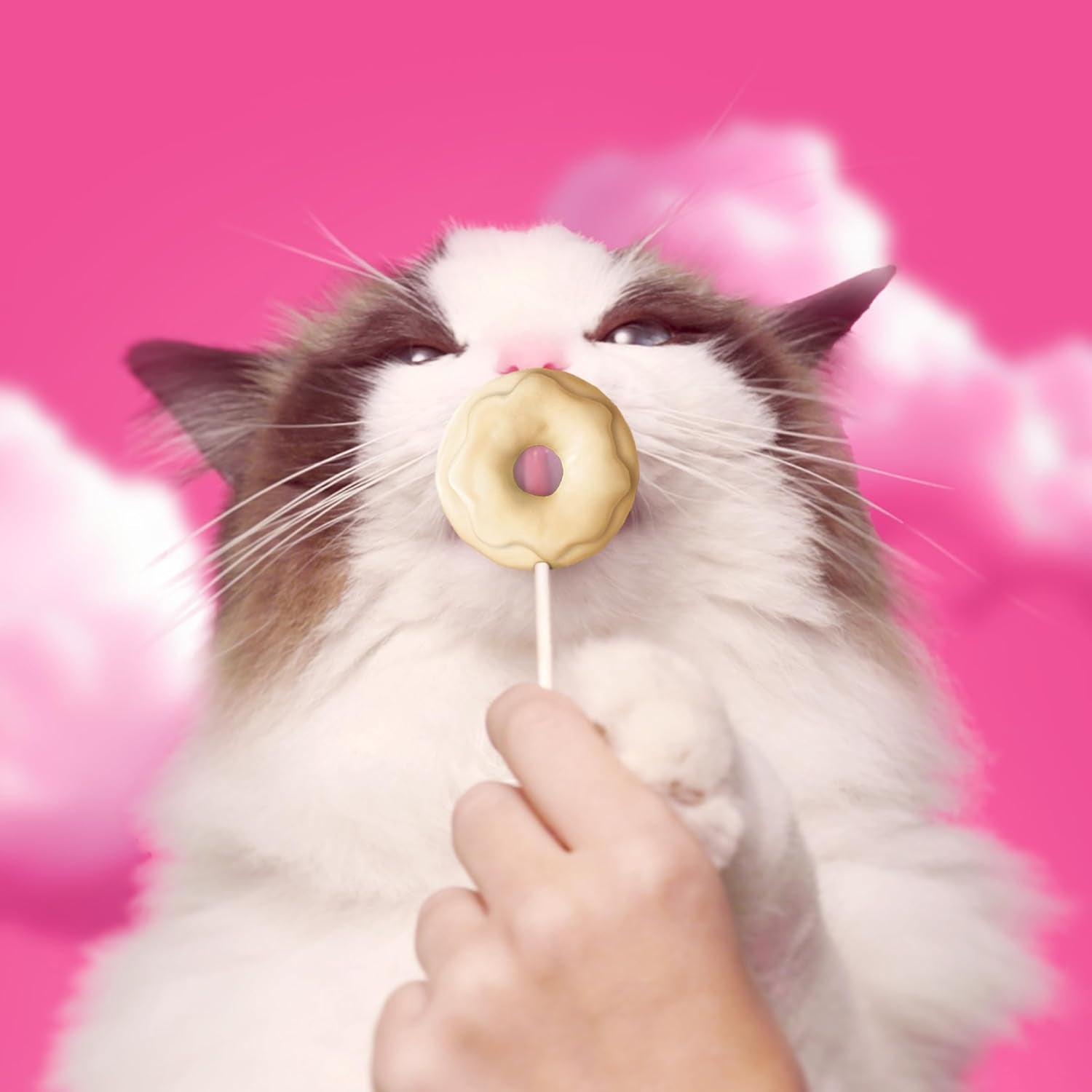 bonkers-purrpops-krispy-kreme-edition-freeze-dried-chicken-flavored-lollipop-cat-treats-4-pieces-pack-of-12