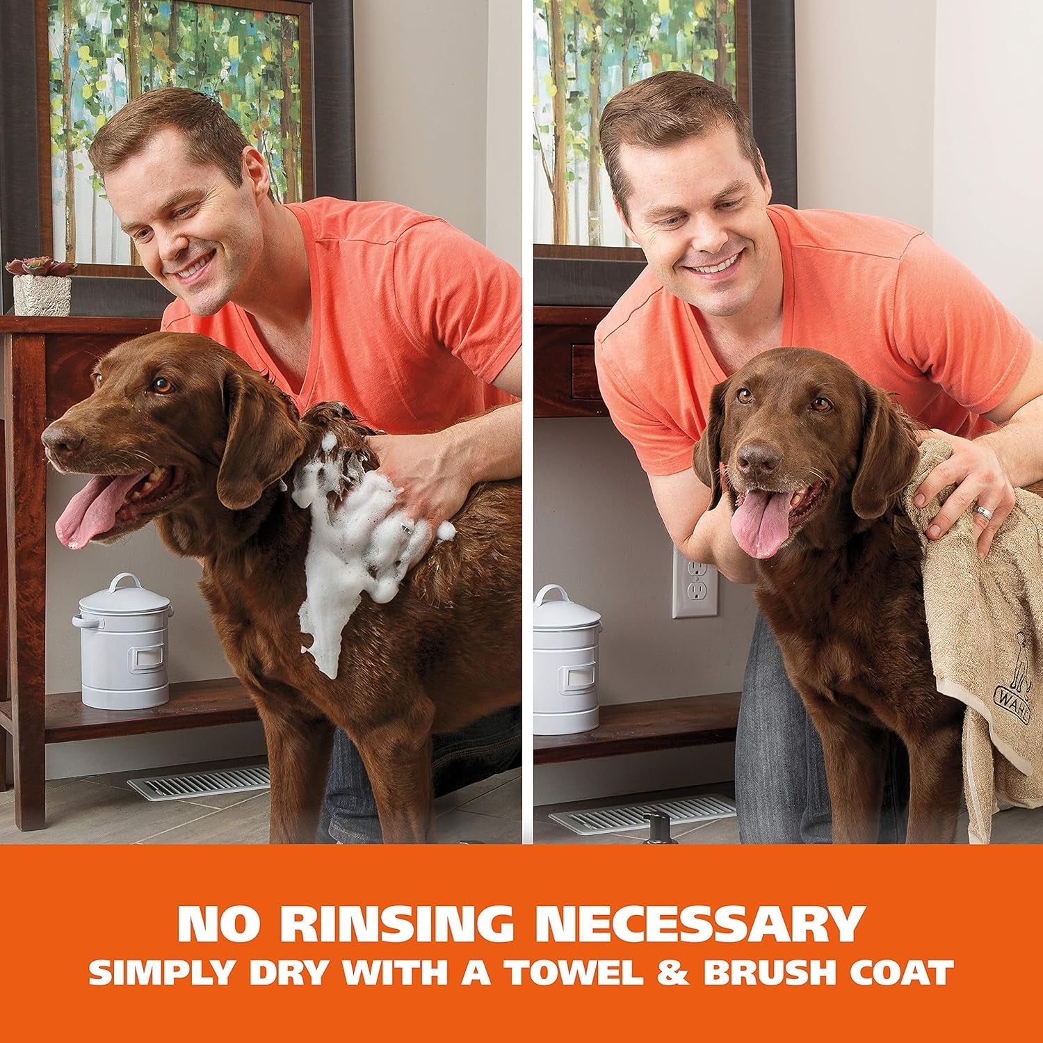 wahl-waterless-no-rinse-shampoo-for-animals-coconut-lime-verbena-7-1-oz-quick-clean-ups-for-dogs-no-bath-needed-oatmeal-formula-cleans-conditions-detangles-moisturizes-dogs-fur-model-820015a