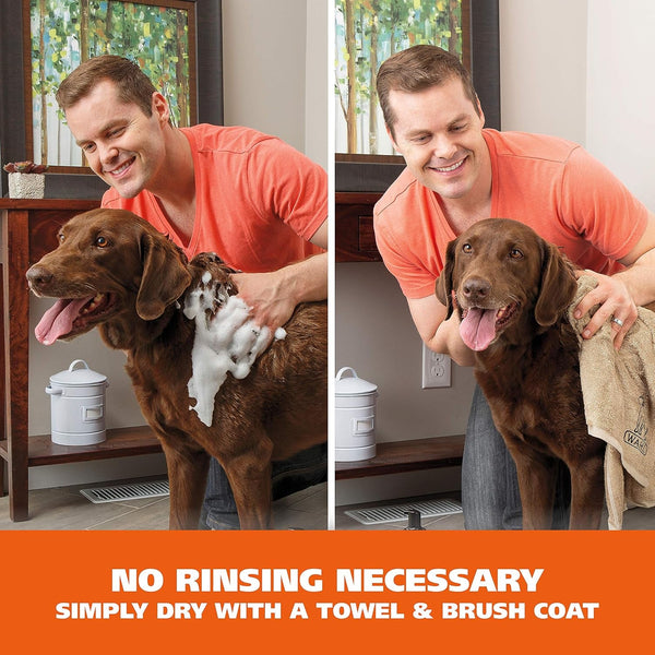 Wahl Waterless No Rinse Shampoo for Animals, Coconut Lime Verbena, 7.1 Oz | Quick Clean-Ups for Dogs—No Bath Needed, Oatmeal Formula Cleans, Conditions, Detangles & Moisturizes Dogs Fur – Model 820015A3
