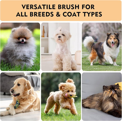 Slicker Brush for Dogs & Cats, Dog & Cat Brush for Shedding & Grooming | Deshedding Tool, Loose Fur Removal, Undercoat Removal, Gentle Coated Tips, Air-Cushion Pad, Long & Short Hair Pet, Detangling8