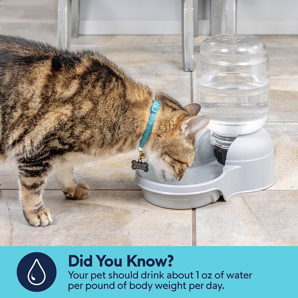 Aspen Pet Lebistro Cat and Dog Water Dispenser, Made in USA6