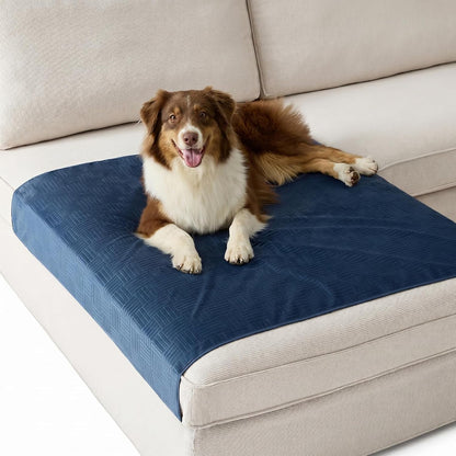 Bedsure Waterproof Couch Cover for Dogs Washable - Waterproof Blanket for Large Dogs Couch Sofa Bed Cozy, Lightweight Furniture Protector for Pet Cat Quick Drying, Ash Grey, 52X82In31