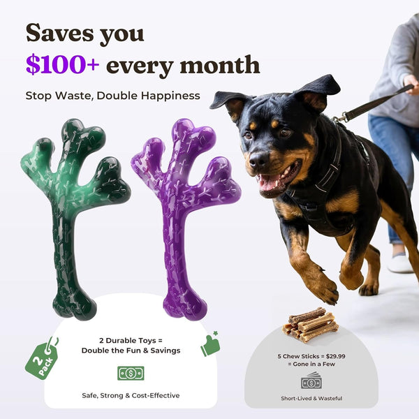 Frienhund 2-Pack Indestructible Dog Chew Toys for Aggressive Chewers | Textured Cactus with Grooves for Peanut Butter & Yogurt, Beef Nylon Bones for Large Dogs 20-90 Lbs, Easy Chew & Long Lasting6
