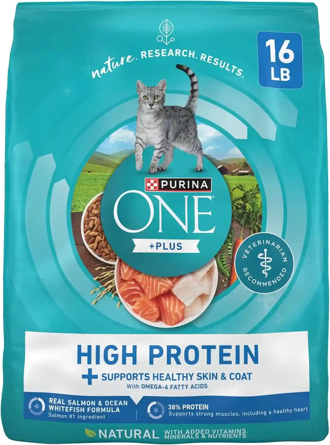 purina-one-plus-high-protein-cat-food-dry-salmon-and-ocean-whitefish-cat-skin-and-coat-health-formula-3-5-lb-bag