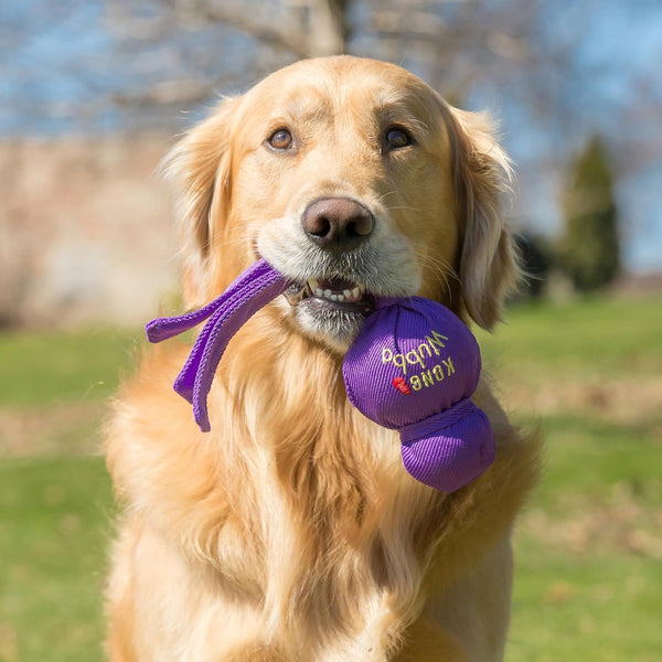KONG Wubba - Dog Toy for Tug of War & Fetch - Dog Supplies for Puppy & Dog Playtime - Outdoor & Indoor Dog Toy - for XL Dogs - Randomly Provided Color2