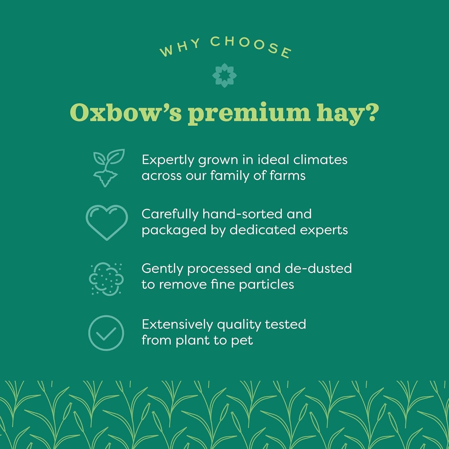 oxbow-western-timothy-hay-guinea-pig-hay-small-pet-bunny-supplies-all-natural-grass-for-guinea-pig-bunny-chinchilla-hamster-oxbow-rabbit-supplies-for-bunnies-9-lb-box-oxbow-timothy-hay-bunny-hay-for-rabbits-guinea-pigs-bunnies-and-chinchillas-hand-sorted-de-dusted-made-in-usa
