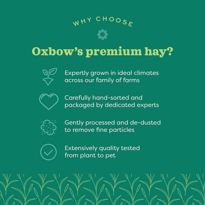 Oxbow Western Timothy Hay, Guinea Pig Hay, Small Pet Bunny Supplies, All Natural Grass for Guinea Pig, Bunny, Chinchilla & Hamster, Oxbow Rabbit Supplies for Bunnies, 9 Lb Box | Oxbow Timothy Hay, Bunny Hay for Rabbits, Guinea Pigs, Bunnies and Chinchillas, Hand-Sorted, De-Dusted, Made in USA14
