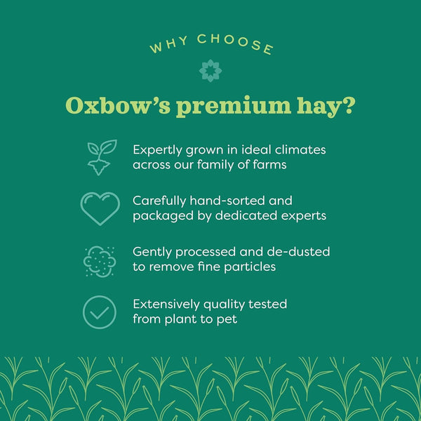 Oxbow Western Timothy Hay, Guinea Pig Hay, Small Pet Bunny Supplies, All Natural Grass for Guinea Pig, Bunny, Chinchilla & Hamster, Oxbow Rabbit Supplies for Bunnies, 9 Lb Box | Oxbow Timothy Hay, Bunny Hay for Rabbits, Guinea Pigs, Bunnies and Chinchillas, Hand-Sorted, De-Dusted, Made in USA14