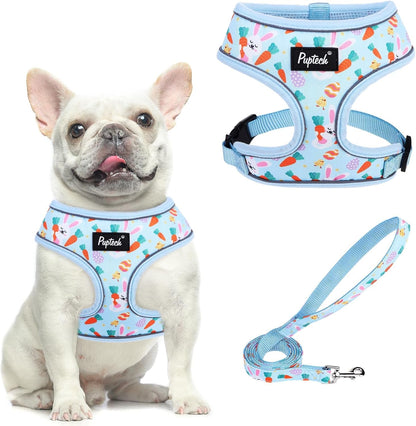 PUPTECK Soft Mesh Dog Harness Small Sized and Leash Set Pet Puppy Cat Comfort Padded Vest No Pull Harnesses, Beige, S17