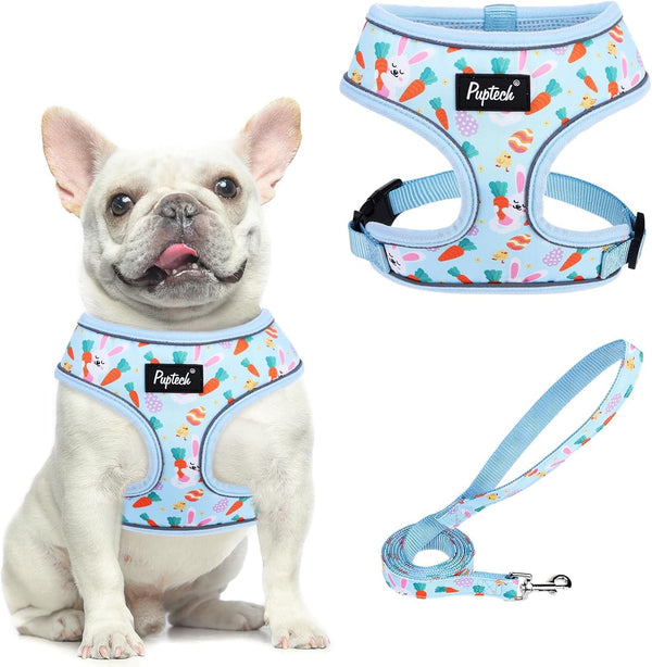 PUPTECK Soft Mesh Dog Harness Small Sized and Leash Set Pet Puppy Cat Comfort Padded Vest No Pull Harnesses, Beige, S17