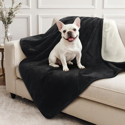 LOOBANI Waterproof Blanket for Bed, Soft Flannel Twin Bed Blanket 60" X 80" | Dog Pet Blankets for Large Dogs, Reversible Spill-Proof Throw for Couch Cover, Movie Time, Camping, Travel, Noise Free, Grey24