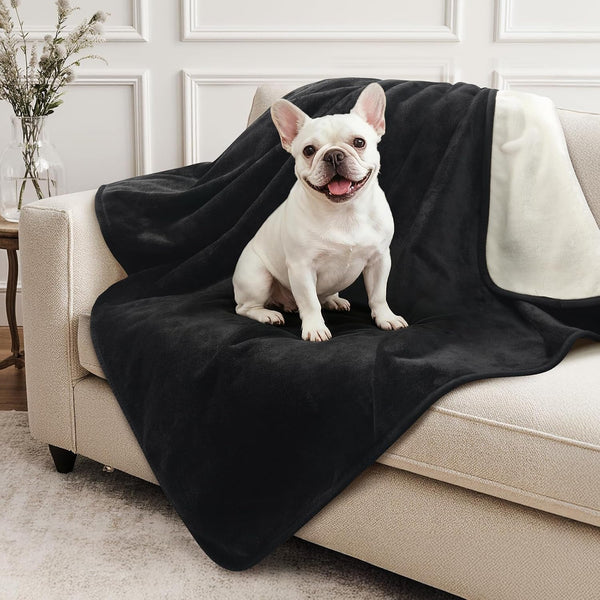 LOOBANI Waterproof Blanket for Bed, Soft Flannel Twin Bed Blanket 60" X 80" | Dog Pet Blankets for Large Dogs, Reversible Spill-Proof Throw for Couch Cover, Movie Time, Camping, Travel, Noise Free, Grey24