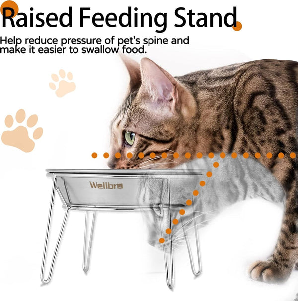 Elevated Cat Bowls, Wide Stainless Steel Cat Food Bowls with Metal Stand Whisker Stress-Free, Raised Food and Water Dish for Cats, Kitten, Puppies and Small Dogs2