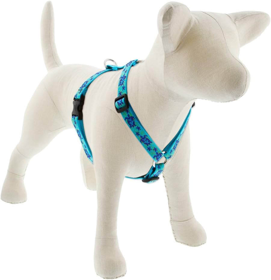 lupinepet-originals-3-4-turtle-reef-20-32-adjustable-roman-dog-harness-for-medium-dogs