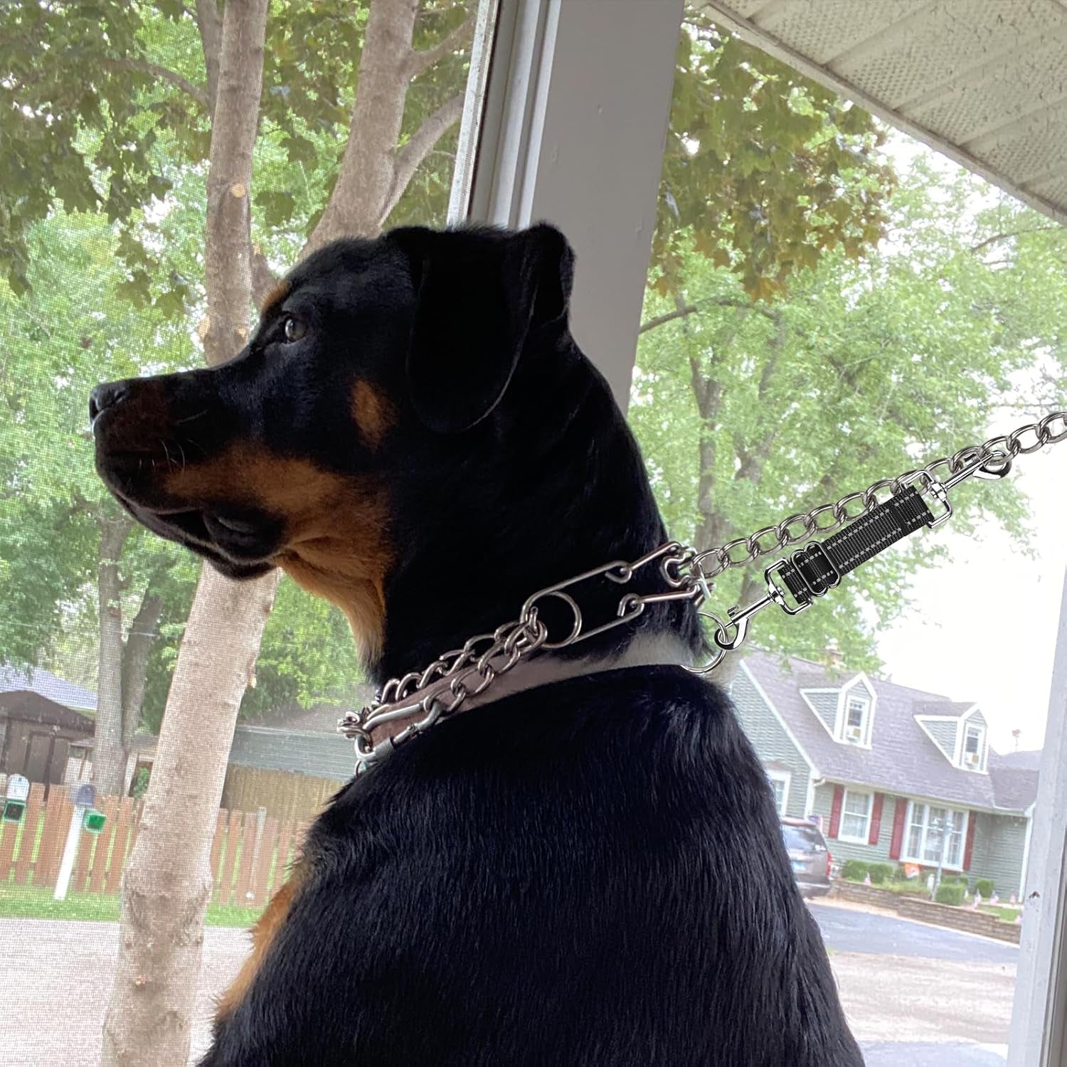 yuepet-dog-safety-collar-clips-2-pack-adjustable-prong-backup-clips-reflective-double-ended-backup-clasp-leash-connector-for-dog-harness-to-collar-safety-clipgrey-black-prong-collar-backup-double-ended-clips-harness-to-collar-connector-reflective-strap-7-8-2-in-adjustable-length-2-pack