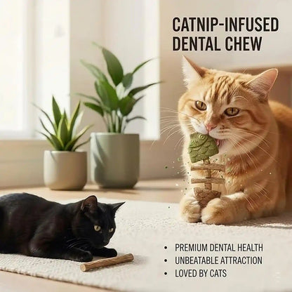 2PCS Catnip and Silvervine Chew, Fish Bone Cat Dental Chew Toy – Natural Wooden Teeth Cleaning Stick for Teething, Boredom Relief & Daily Enrichment4