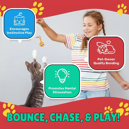 Bouncy Tails 5 Pack Interactive Bouncy Ball with Natural Feathers for Indoor Cats and Kittens Who Love to Play and Have Fun.4