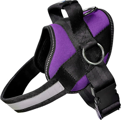 Joyride Basic Dog Harness 1.0 | Blue Serenity | M | Adjustable Pet Vest with 3 Side Leash Rings for Training, Walking and Improved Control for Small, Medium or Large Dogs13