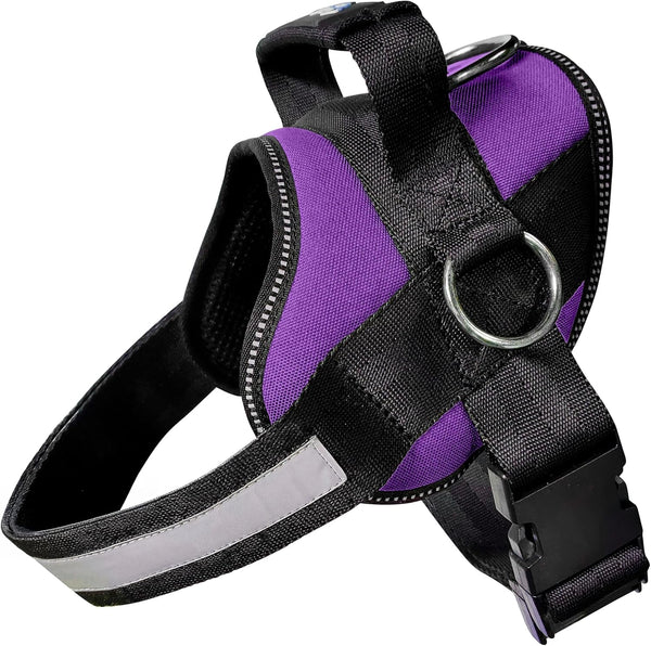 Joyride Basic Dog Harness 1.0 | Blue Serenity | M | Adjustable Pet Vest with 3 Side Leash Rings for Training, Walking and Improved Control for Small, Medium or Large Dogs13