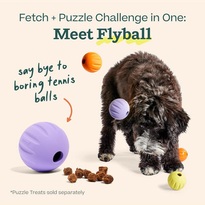 WOOF Flyball Fetch Ball & Dog Treat Dispenser Toy, 3-Pack | 2-In-1 Fetch Ball, Fits Standard Ball Launchers, Treat Dispenser, Durable Rubber, Dishwasher Safe, Puzzle Enrichment3