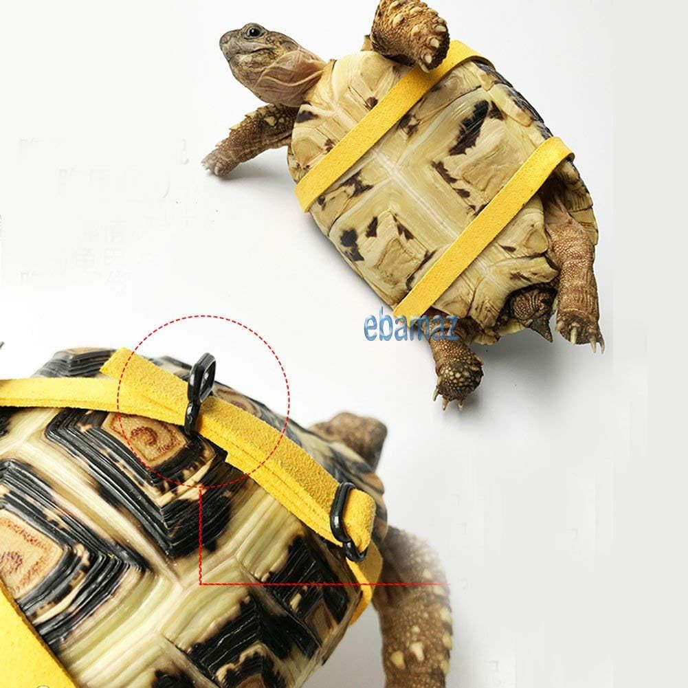 leather-harness-strap-for-tortoise-turtle-reptile-animals-size-m-crawling-pet-walking-training-control-rope-chest-collar
