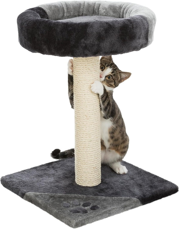 Trixie Tarifa Cat Scratching Post 20.5 Inch - Cat Scratcher with Soft Fabric Covering Base and Durable Sisal Rope - with Padded Platform - in Gray/Black7
