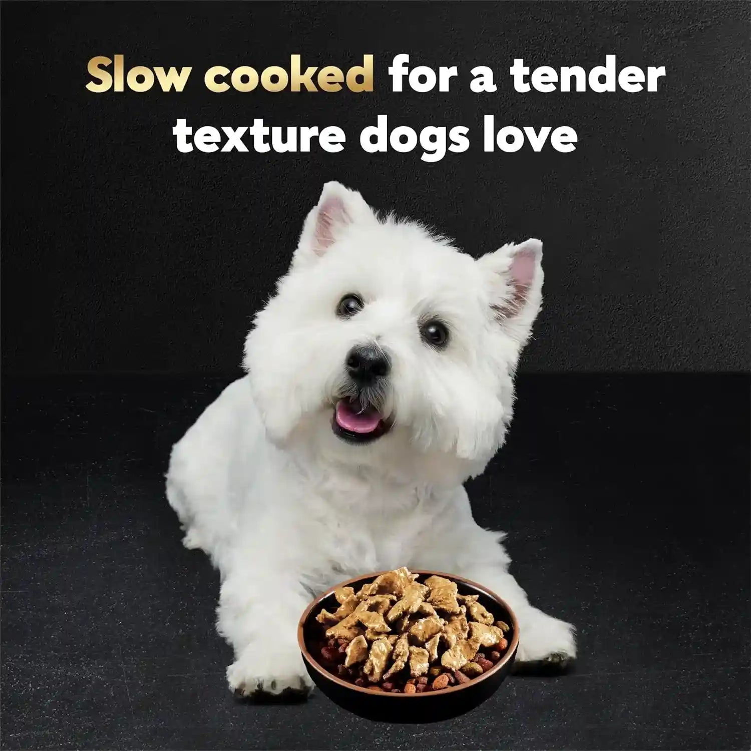 cesar-mini-pouch-wet-dog-food-filet-variety-pack-1-76-oz-40-count-3-flavors-rotisserie-chicken-filet-mignon-wood-grilled-chicken-real-chicken-or-beef-easy-peel-and-serve-protein-packed
