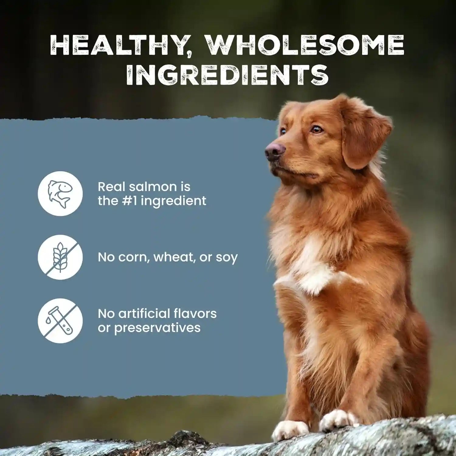 blue-buffalo-wilderness-trail-treats-salmon-crunchy-dog-biscuits-grain-free-high-protein-bite-sized-training-treats-made-with-real-salmon-natural-ingredients-10-oz-bag