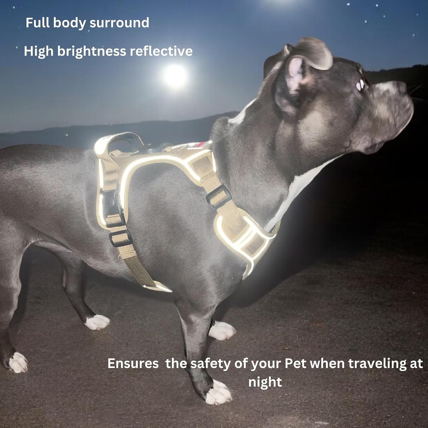 boldpet®-dog-harness-with-airtag-holder-and-leash-set-no-pull-dog-harness-reflective-design-escape-proof-with-safety-buckles-breathable-oxford-for-small-medium-and-large-dogs-air-tag-not-included