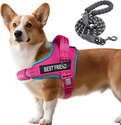 AUROTH Dog Harness and Leash Set, Soft Padded Service Dog Vest with 5.25FT Dog Leash, No Choke, Easy on Pet Vest, Adjustable Reflective No Pull Pet Vest Medium Sized Dog, Easy Walking and Training33