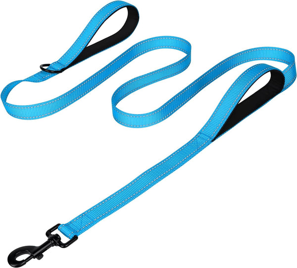 Joytale Reflective Dog Leash for Medium & Large Dogs, 6 FT X 1", Black | Heavy Duty Nylon Webbing, Padded Handle for Comfort, Visible at Night, for Walking & Training25