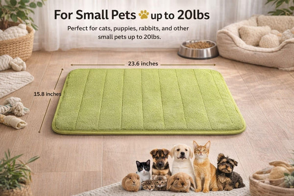Washable Pet Bed Mat (23.6 X 15.8 Inch) – 3-Pack for Indoor/Outdoor Use, Soft Sleeping Mat for Cats, Small Pets, Kitty, Puppy, Rabbit – Cozy Bedding Pads for Pets up to 20Lbs2