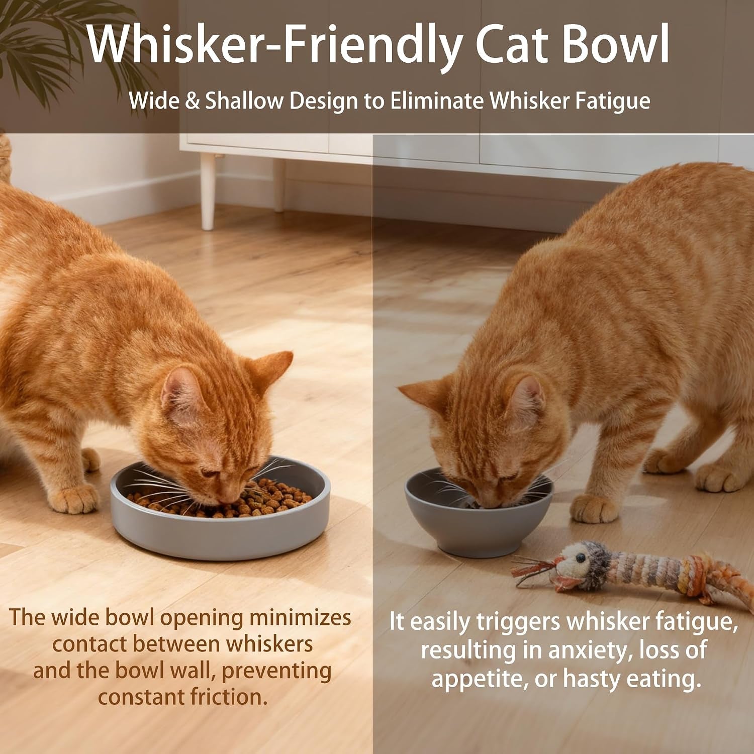 silicone-cat-bowl-shallow-non-slip-cat-dishes-set-of-2-relief-whisker-fatigue-small-pet-dog-bowls-for-dry-wet-food-round-grey