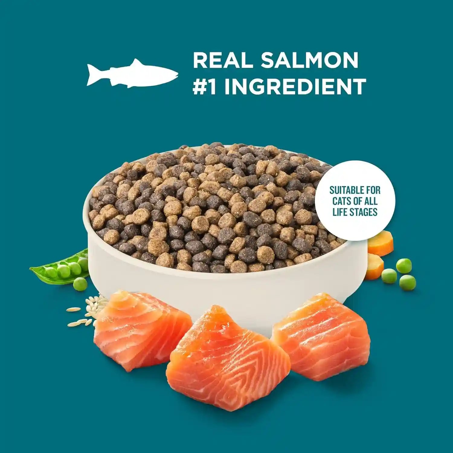 nutrish-dry-cat-food-salmon-brown-rice-recipe-14-lb-bag-rachael-ray-suitable-for-cats-of-all-life-stages-no-artificial-flavors-nature-food-with-added-vitamins-minerals-nutrients