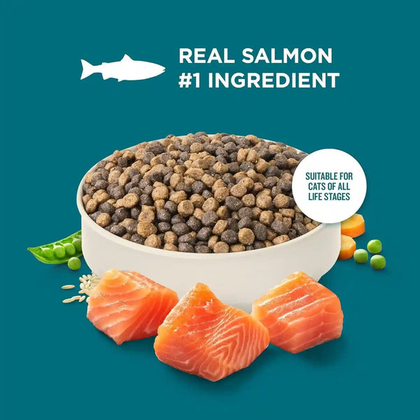 Nutrish Dry Cat Food, Salmon & Brown Rice Recipe, 14 Lb. Bag (Rachael Ray) | Suitable for Cats of All Life Stages, No Artificial Flavors, Nature Food with Added Vitamins, Minerals & Nutrients4