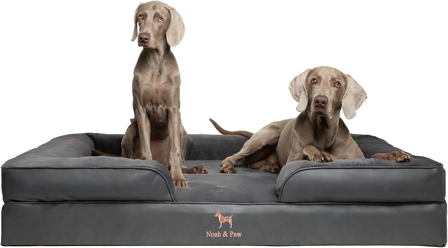 noah-paw-large-dog-bed-35x25x11-inch-orthopedic-dog-beds-eggshell-memory-foam-infused-with-cooling-gel-inner-cover-water-resistant-machine-washable-faux-leather
