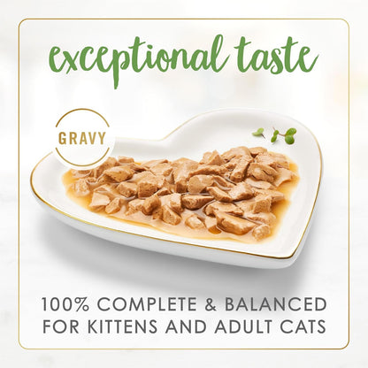 Purina Fancy Feast Gravy Lovers Salmon Feast Grilled Gourmet Cat Food in Wet Cat Food Gravy - (Pack of 24) 3 Oz. Cans2
